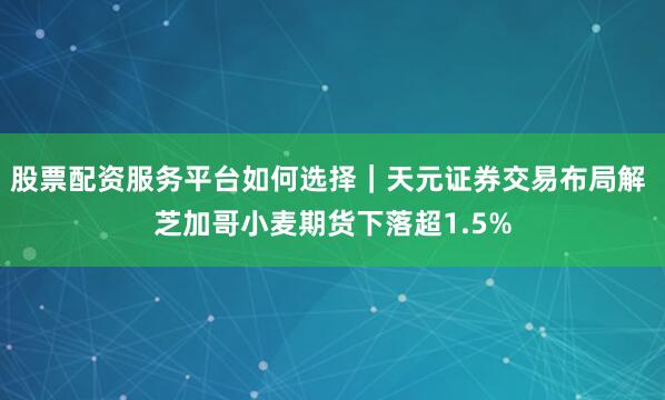 股票配资服务平台如何选择｜天元证券交易布局解 芝加哥小麦期货下落超1.5%